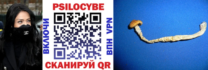 закладка  Называевск  Галлюциногенные грибы Magic Shrooms 